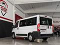 FIAT DUCATO 2.3 MJT 150cv ecojet 9 posti Km 43.000