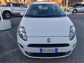 FIAT PUNTO 1.2 8V 5 porte Street Uniprò km 95000 Neopatentati