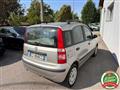 FIAT PANDA 1.2 Dynamic OK NEO PATENTATI