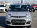 FIAT PANDA 1.2 Easy s&s 69cv my19