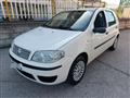 FIAT PUNTO Classic 1.2 5 porte Active GPL