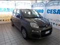 FIAT PANDA 1.0 firefly hybrid 70cv 5 posti