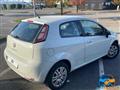 FIAT PUNTO 1.2 8V 3 porte Easy