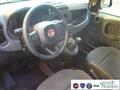 FIAT PANDA 1.0 FireFly S&S Hybrid Pandina Urban Km 0