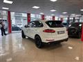 PORSCHE CAYENNE 3.0 Diesel Platinum Edition SENZA FINANZIAMENTO