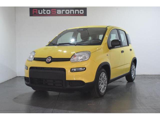 FIAT PANDA 1.0 FireFly S&S Hybrid Pandina