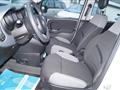 FIAT PANDA 1.0 Hybrid CityLife PREZZO VERO con mont.GPL