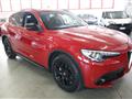 ALFA ROMEO STELVIO 2.2 Turbodiesel 190 CV AT8 Q4 Business