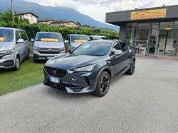 CUPRA FORMENTOR 2.0 TDI 4Drive DSG