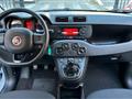 FIAT PANDA 1.2 69CV S&S E6D-TEMP EASY*24M.G.*USB*