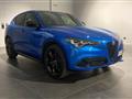 ALFA ROMEO STELVIO 2.2 Turbodiesel 210 CV AT8 Q4 Competizione