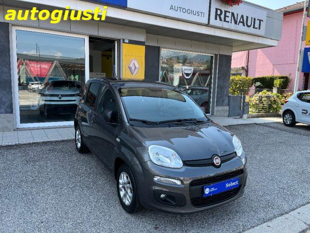 FIAT PANDA 1.2 Lounge 70CV  IDEALE PER NEOPATENTATI