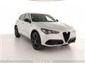 ALFA ROMEO STELVIO 2.2 Turbodiesel 210 CV AT8 Q4 Competizione