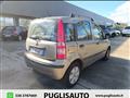 FIAT PANDA 1.2 Dynamic GPL