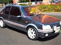 PEUGEOT 205 1.9 Gti 130cv