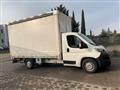 CITROEN Jumpy 35 2.0 HDI 130 CV Telonato + Sponda idraulica