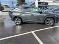 HYUNDAI NUOVA TUCSON Tucson 1.6 HEV aut.Exellence