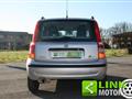 FIAT PANDA VAN 1.2 BENZINA -NEOPATENTATI