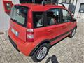 FIAT PANDA 1.2 Climbing 4x4 OK NEO PATENTATO