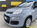 FIAT PANDA 1.0 FireFly S&S Hybrid - OK NEOPATENTATI