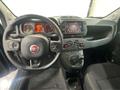 FIAT Panda 1.0 firefly hybrid Cross s