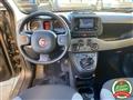 FIAT PANDA 1.0 hybrid City Life PREZZO REALE