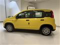 FIAT PANDA 1.0 FireFly S&S Hybrid Pandina