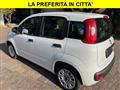 FIAT PANDA 1.2 Benzina Neopatentati