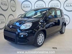 FIAT PANDA 1.0 FireFly S&S Hybrid Pandina