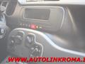 FIAT PANDA VAN Van 1.2 Autocarro 2 posti 69CV