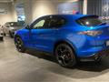 ALFA ROMEO STELVIO 2.2 Turbodiesel 210 CV AT8 Q4 Competizione