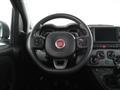 FIAT PANDA 1.0 FireFly Hybrid City Life