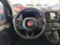 FIAT PANDA 1.0 FireFly S&S Hybrid Pandina