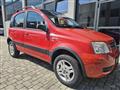 FIAT PANDA 1.2 Climbing 4x4 OK NEO PATENTATO