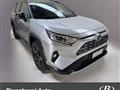 TOYOTA RAV4 2.5 HV (218CV) E-CVT 2WD Style