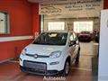 FIAT PANDA 1.0 FireFly S&S Hybrid Pandina