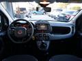 FIAT PANDA CROSS 1.0 FireFly CROSS X NEOPATENTATI