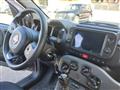 FIAT PANDA 1.0 FireFly S&S Hybrid City Life Uniprò 5 Posti