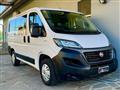 FIAT DUCATO 33 2.3 MJT 140CV PM-TM Furgone 9 POSTI