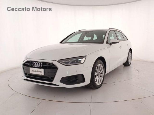 AUDI A4 AVANT Avant 50 TDI quattro tiptronic Business Advanced