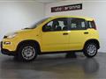 FIAT PANDA 1.0 FireFly S&S Hybrid Pandina