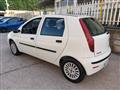 FIAT PUNTO Classic 1.2 5 porte Active GPL