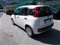 FIAT PANDA 1.0 firefly hybrid 70cv 5 posti