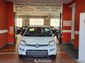 FIAT PANDA 1.0 FireFly S&S Hybrid Pandina