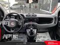 FIAT PANDA 1.0 firefly hybrid City Life s&s 70cv