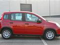 FIAT PANDA 1.0 FireFly S&S Hybrid Pandina