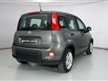 FIAT PANDA 1.0 FireFly S&amp;S Hybrid