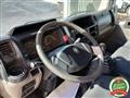 RENAULT TRUCKS MAXITY 140.35/6 2.5 DXi PC-RG Cabinato