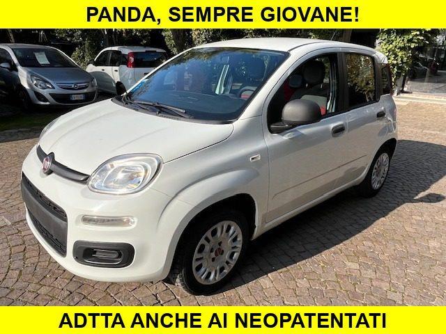 FIAT PANDA 1.2 Benzina Neopatentati