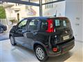 FIAT PANDA 1.0 FireFly S&S Hybrid Pandina da ?149,00 mensili